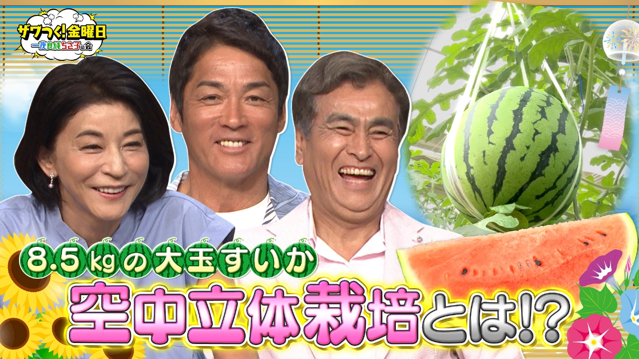 ザワつく！ 金曜日 7月25日(金)放送分 8.5kgの大玉すいかを作る