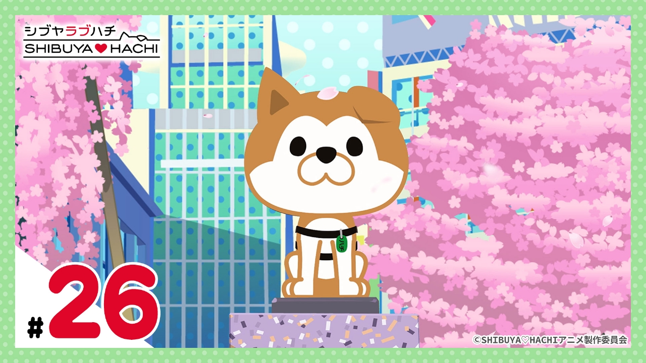 SHIBUYA♡HACHI 第3クール 4月5日(土)放送分 第26話 忠犬ハチ公物語