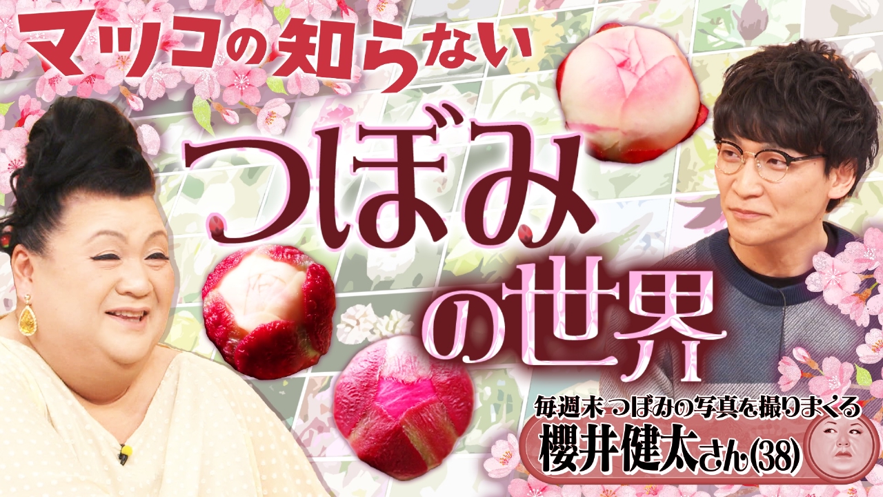 マツコの知らない世界 3月11日(火)放送分 後編！「つぼみの世界