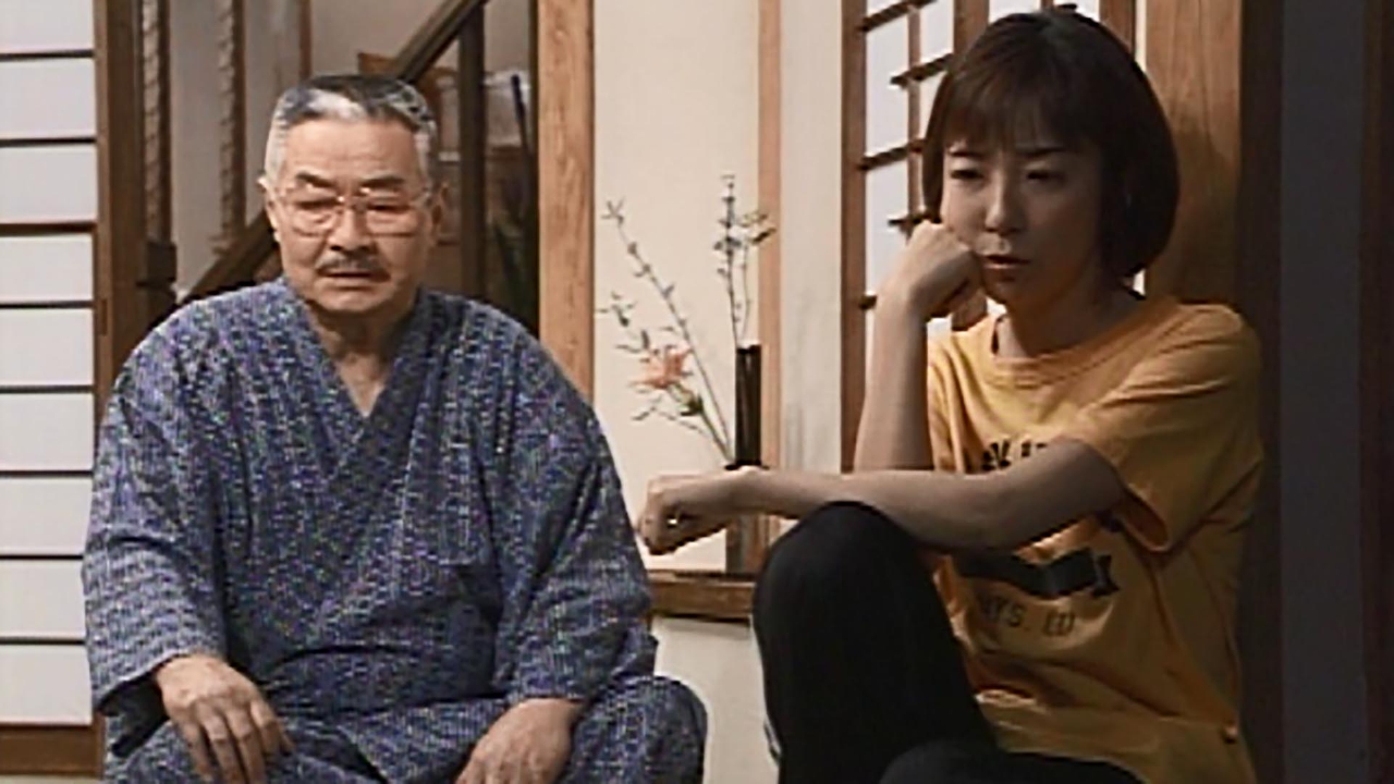 渡る世間は鬼ばかり 第4シリーズ(橋田壽賀子ドラマ) 1999年放送