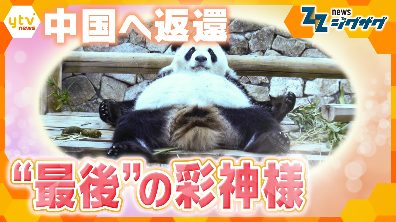 サタデーLIVE ニュース ジグザグ 6月28日(土)放送分 4頭のパンダ中国