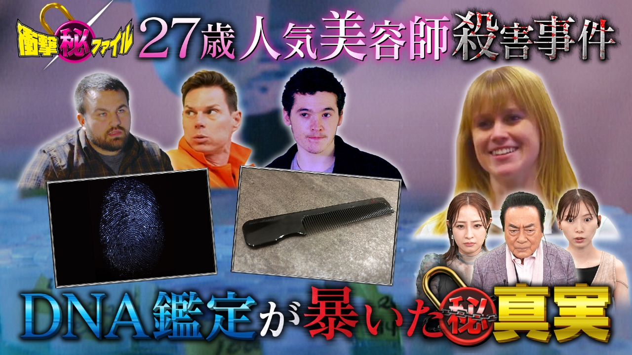 活動歴および当時の関連ビジュアル記録