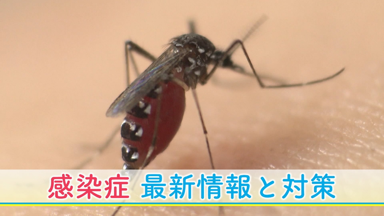 きょうの健康 3月13日(木)放送分 ニュース 「感染症 最新情報と対策は