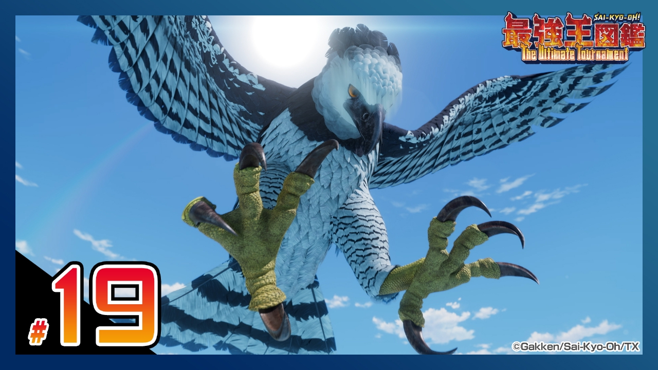 13 3/9迄 ★美品★　北シベリア鳥類図鑑 ワシ タカ 野鳥 13 3/9迄 ☆美品☆ 北シベリア鳥類図鑑 ワシ タカ 野鳥 北