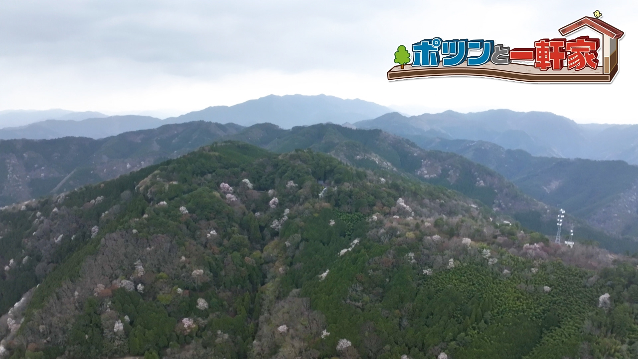 ポツンと一軒家 5月25日(日)放送分 雲海に浮かぶ創建1300年の寺！30代