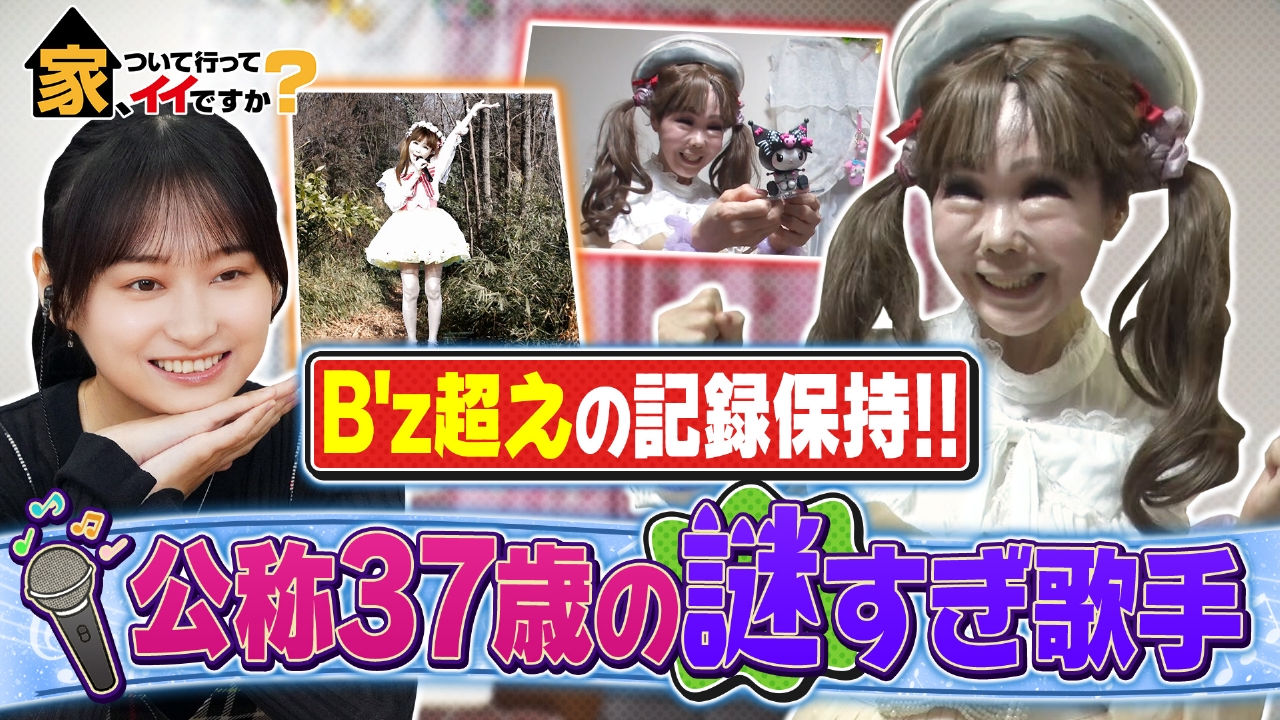活動歴および当時の関連ビジュアル記録