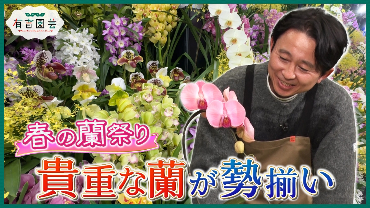 夢が咲く 有吉園芸～Road to start a garden shop～ 4月1日(火)放送分