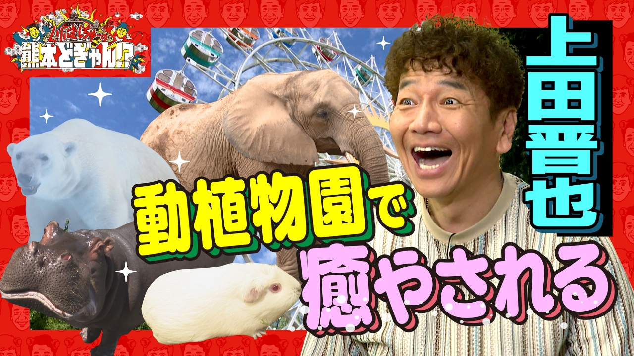 くりぃむしちゅーの熊本どぎゃん!? 7月4日(金)放送分 上田晋也が熊本市