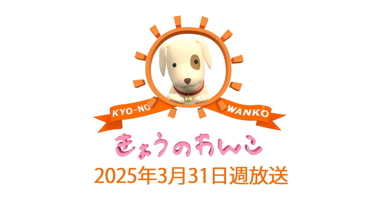 今日 の わんこ