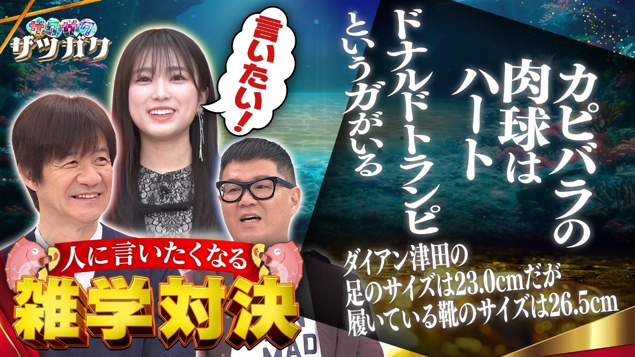 早い者勝ち　　テレビ maxresdefault.jpg