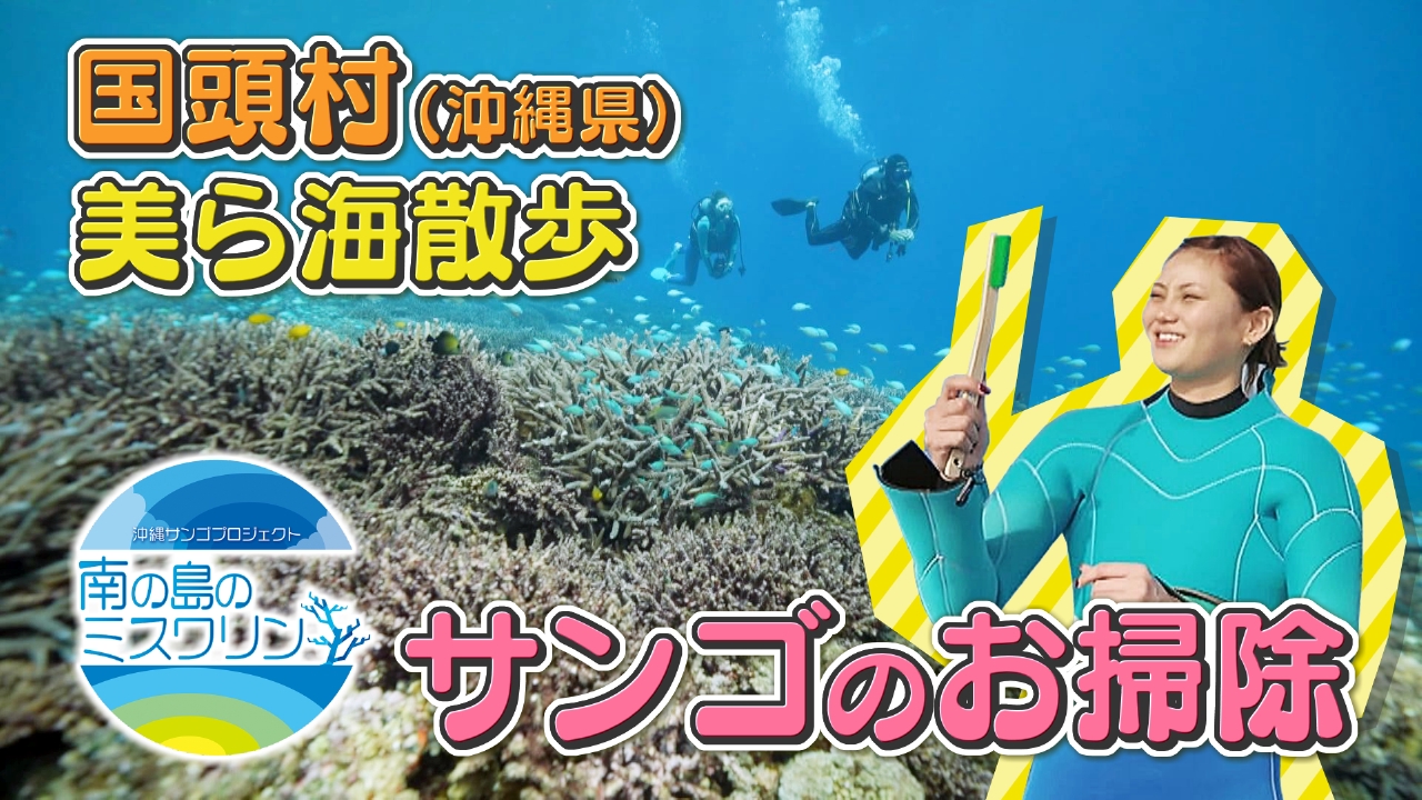 ミスワリン 