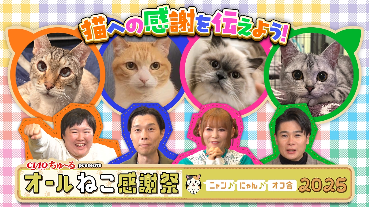 CIAOちゅ～るpresentsオールねこ感謝祭！ニャン♪にゃん