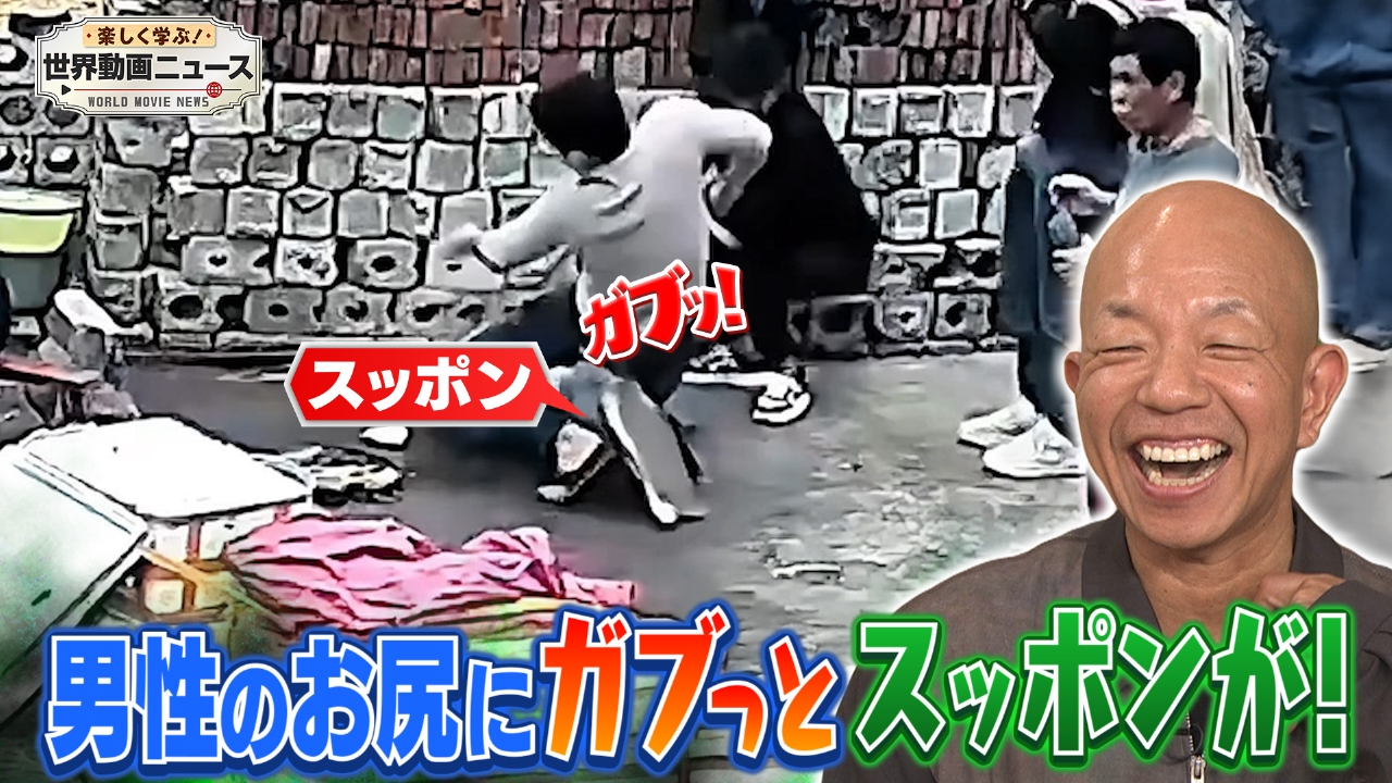 楽しく学ぶ！世界動画ニュース 3月15日(土)放送分 1.5時間SP【爆笑