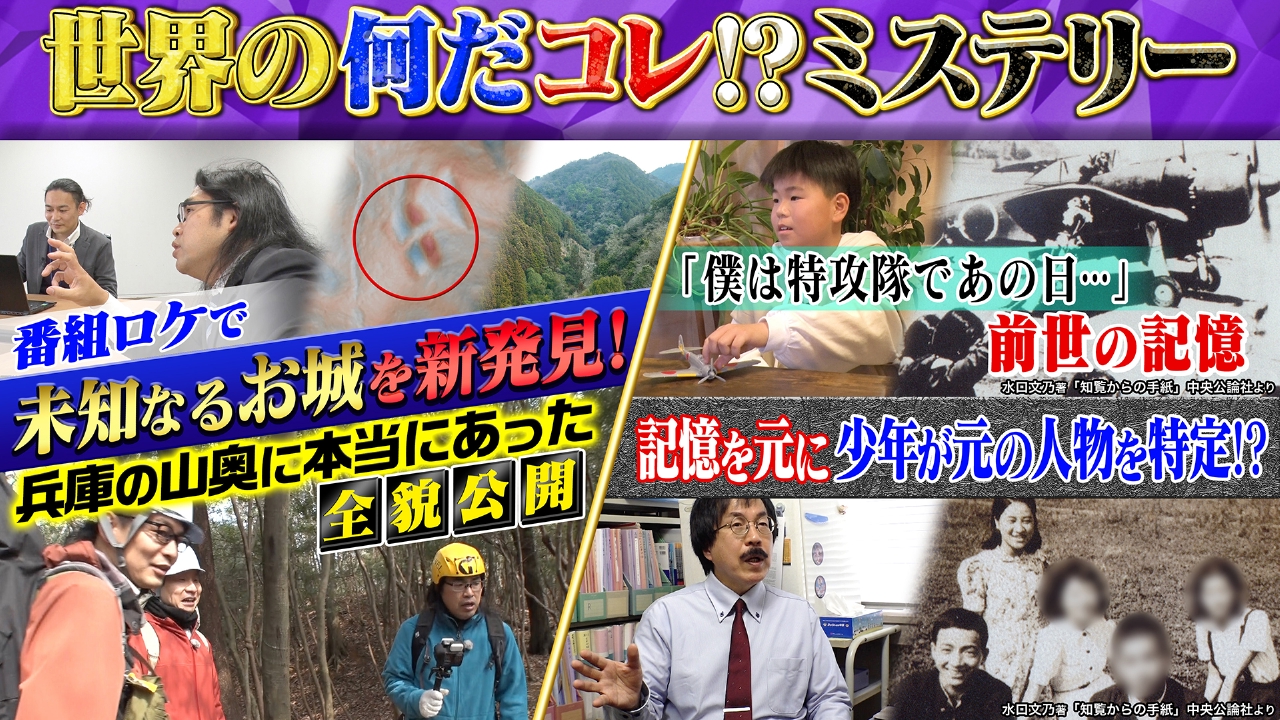 活動歴および当時の関連ビジュアル記録