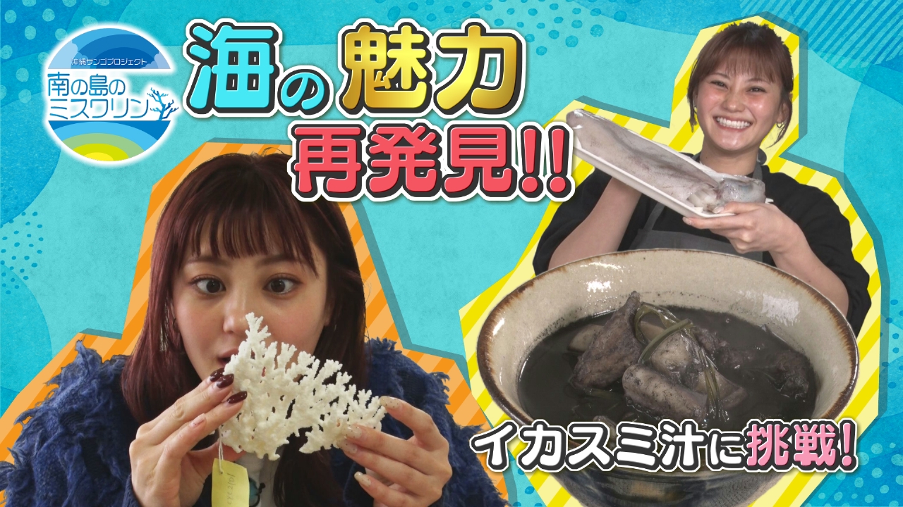 ミスワリン 南の島のミスワリン 2月22日(土)放送分 「イカスミ汁」に挑戦＆若き研究者に出会う｜その他｜見逃し無料配信はTVer！人気の動画見放題