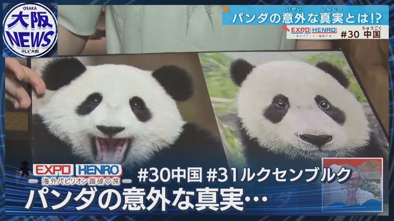 TVOやさしいニュース特集 【海外パビリオン踏破の旅】中国ジャイアント