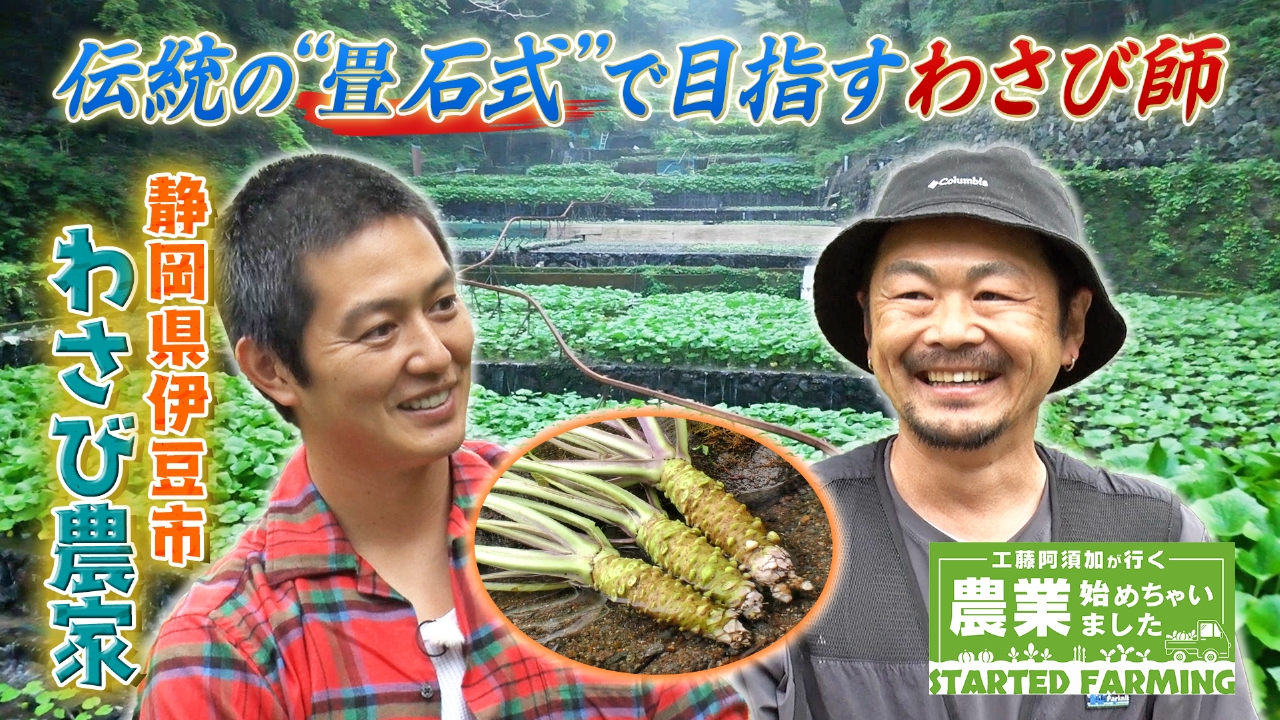 工藤阿須加が行く 農業始めちゃいました 6月4日(水)放送分 不完全燃焼