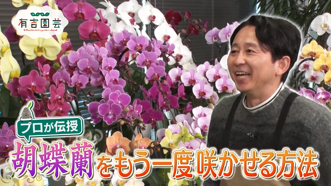 夢が咲く 有吉園芸～Road to start a garden shop～ 2月25日(火)放送分