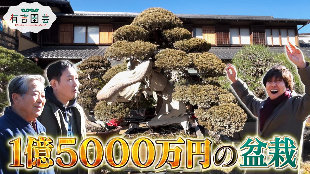 夢が咲く 有吉園芸～Road to start a garden shop～ 6月10日(火)放送分