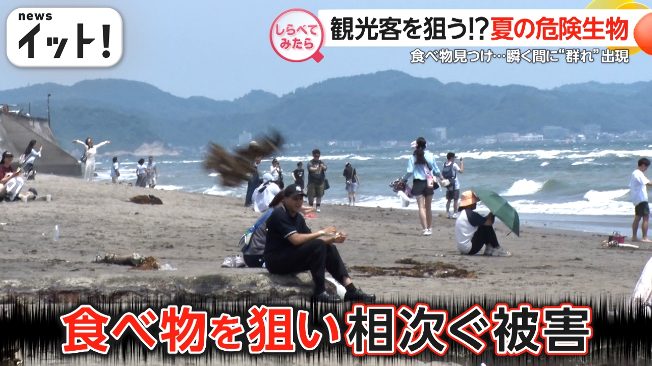 しらべてみたら】Live News イット！特集 7月22日(火)放送分 夏の恐怖