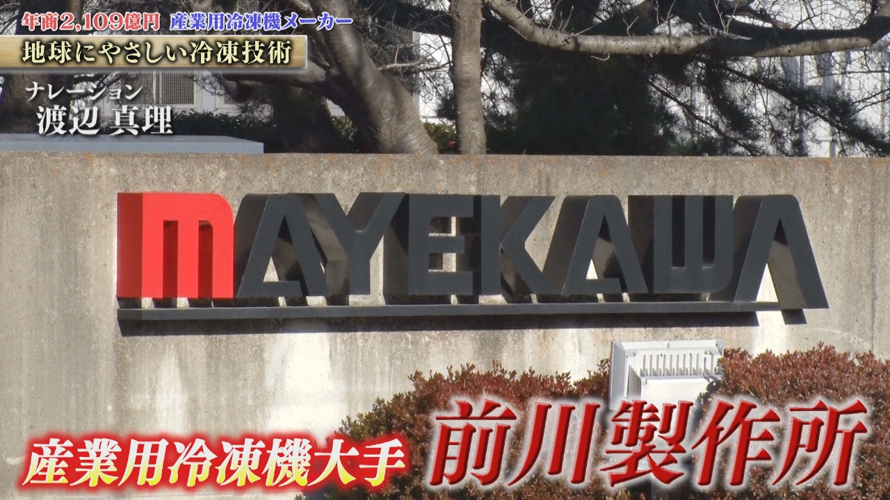 【中古】 ヘルシー・カンパニー 人的資源の活用とストレス管理/産業能率大学出版部/ロバート・Ｈ．ローゼン 中古】 ヘルシー・カンパニー 人的資源の活用とストレス管理