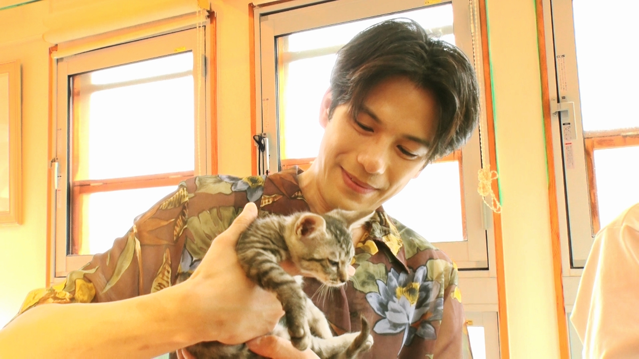 ねこ自慢 10月8日(水)放送分 アイデア満載の猫グッズ開発現場に潜入