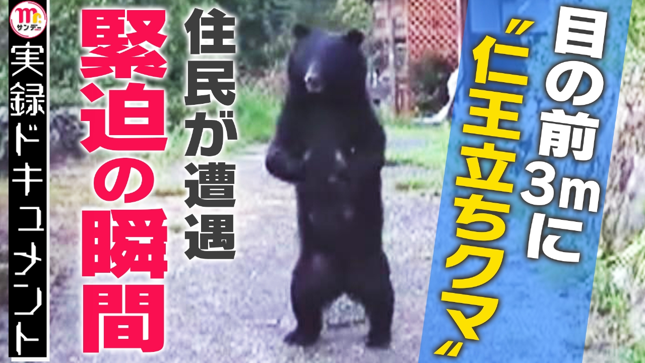 実録ドキュメント Mr.サンデーpresents 2024年放送 目の前3m！緊迫映像