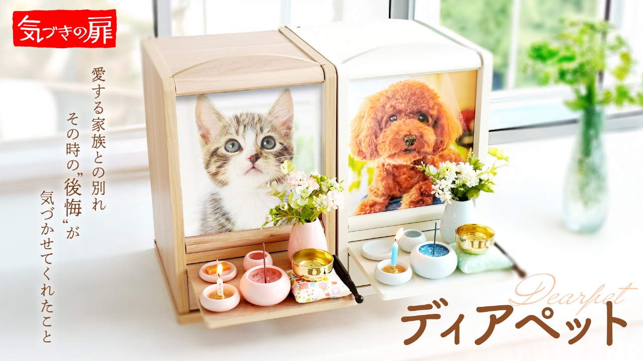 気づきの扉 9月19日(金)放送分 2025年9月19日放送｜報道