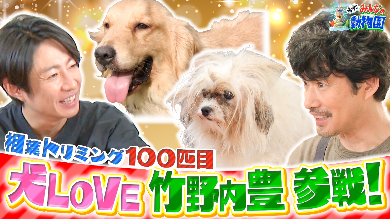 嗚呼!!みんなの動物園 8月16日(土)放送分 相葉トリミングに竹野内豊&ティモンディ前田のモンローは今｜バラエティ｜見逃し無料配信はTVer ！人気の動画見放題