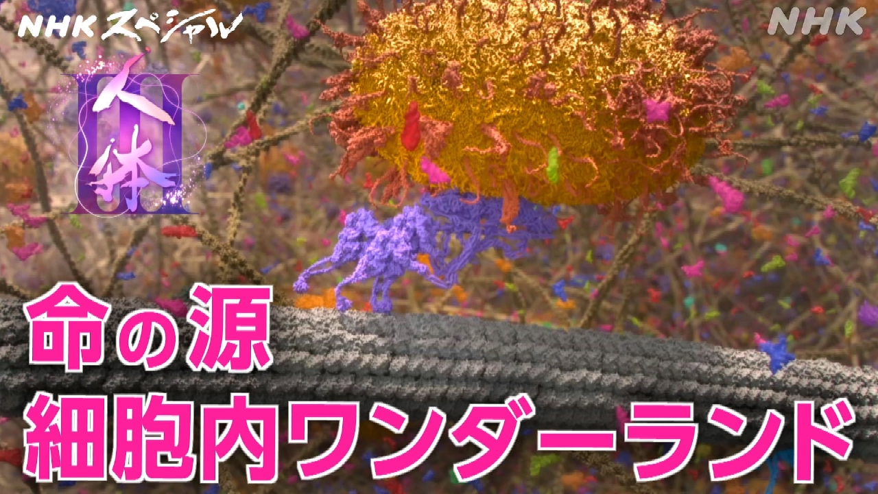 Nスペ5min. 5月3日(土)放送分 人体III 第1集 命の源 細胞内 
