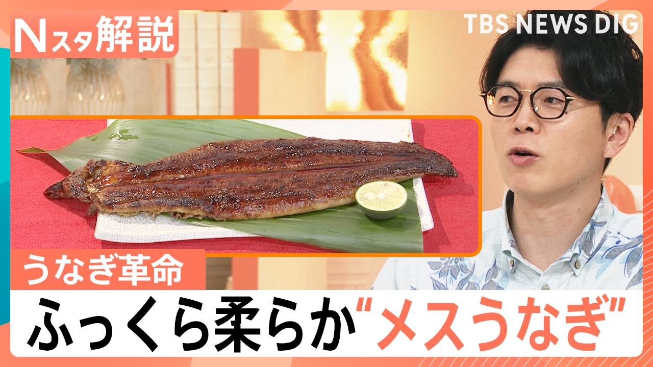 TBS NEWS DIG Powered by JNN 6月23日(月)放送分 うなぎ革命 ふっくら