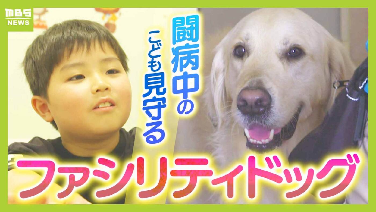 ジップ 犬 死亡