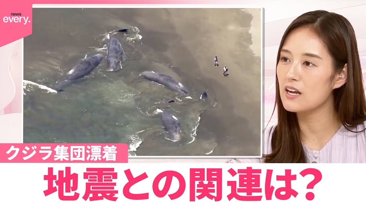 なぬ：平日発送 ラインフラワーイージーパンツ（スラックス）｜JOURNAL STANDARD