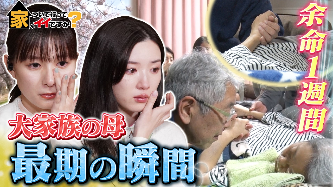 家 ついて行っ て イイ です か 死亡