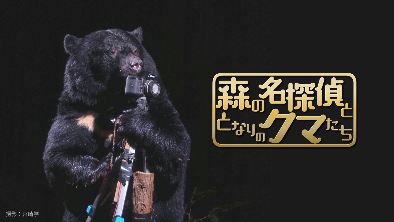 森の名探偵ととなりのクマたち 2月19日(水)放送分 森の名探偵ととなり