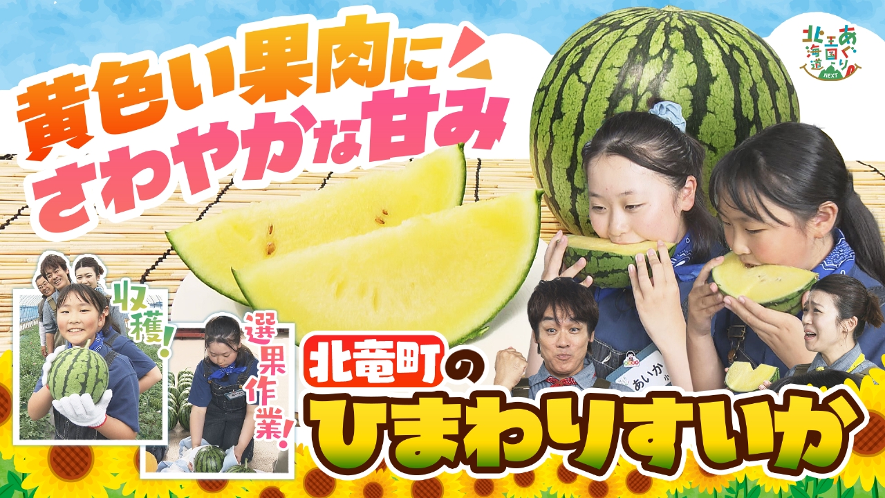 あぐり王国北海道NEXT 6月28日(土)放送分 北竜町・黄色い果肉の