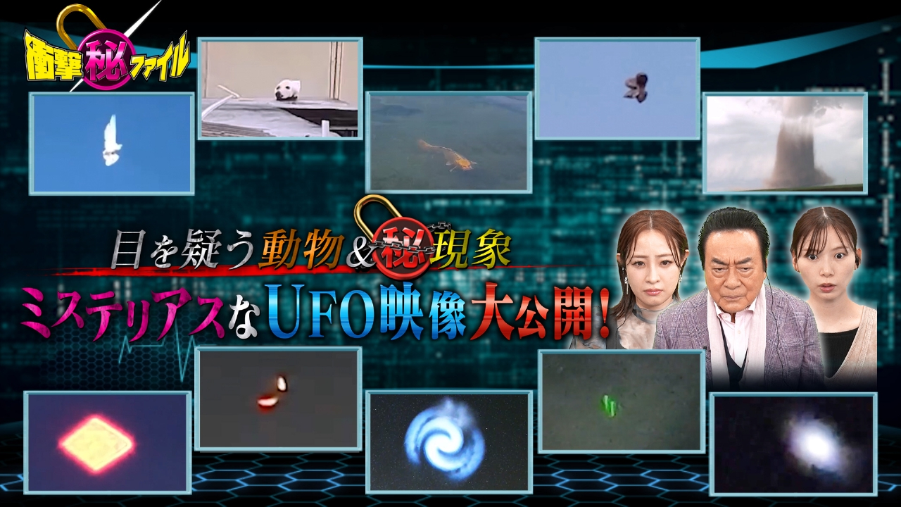 世界が騒然！本当にあった(秘)衝撃ファイル 7月8日(火)放送分 衝撃映像