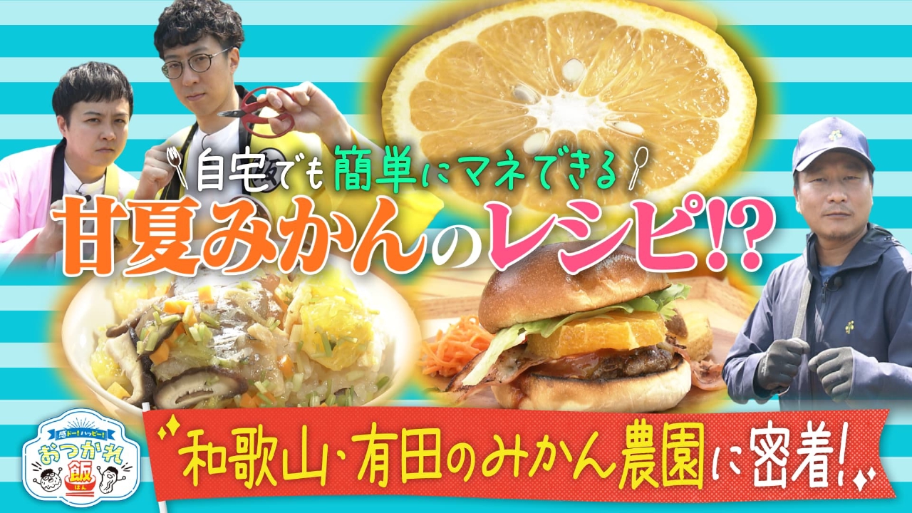 かんさい情報ネットten.「感ドー！ハッピー！おつかれ飯」 5月13日(火)放送分  ドーナツ・ピーナツが和歌山・有田のみかん農園に密着｜バラエティ｜見逃し無料配信はTVer！人気の動画見放題