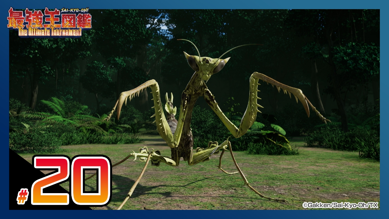 最強王図鑑 ～The Ultimate Tournament～ 8月17日(日)放送分