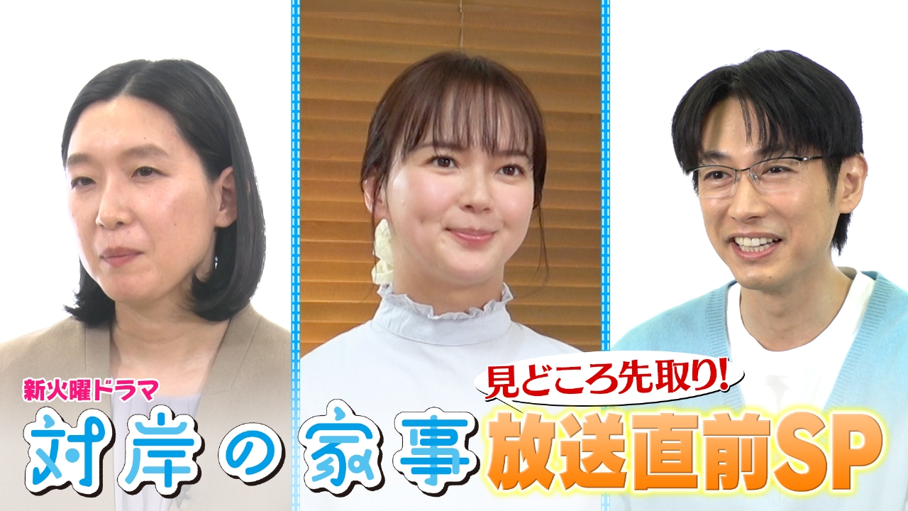 対岸の家事 ～これが、私の生きる道］全巻全10話完全版DVD プレーヤー 