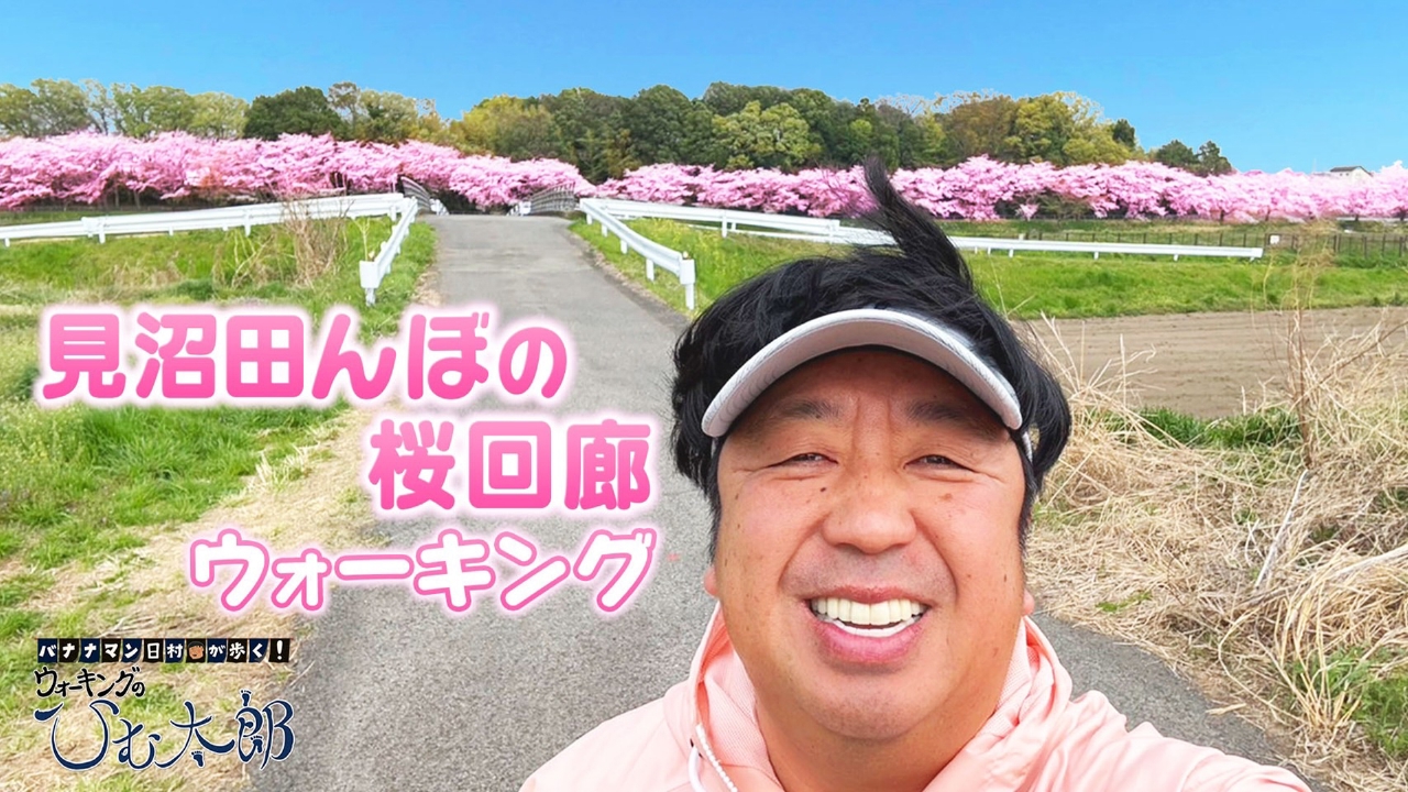 バナナマン日村が歩く！ ウォーキングのひむ太郎 5月6日(火)放送分 桜 