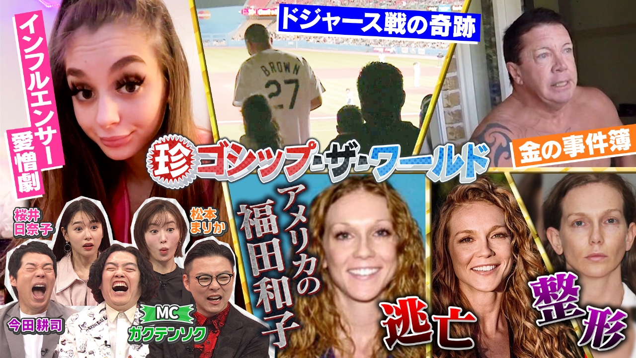 活動歴および当時の関連ビジュアル記録