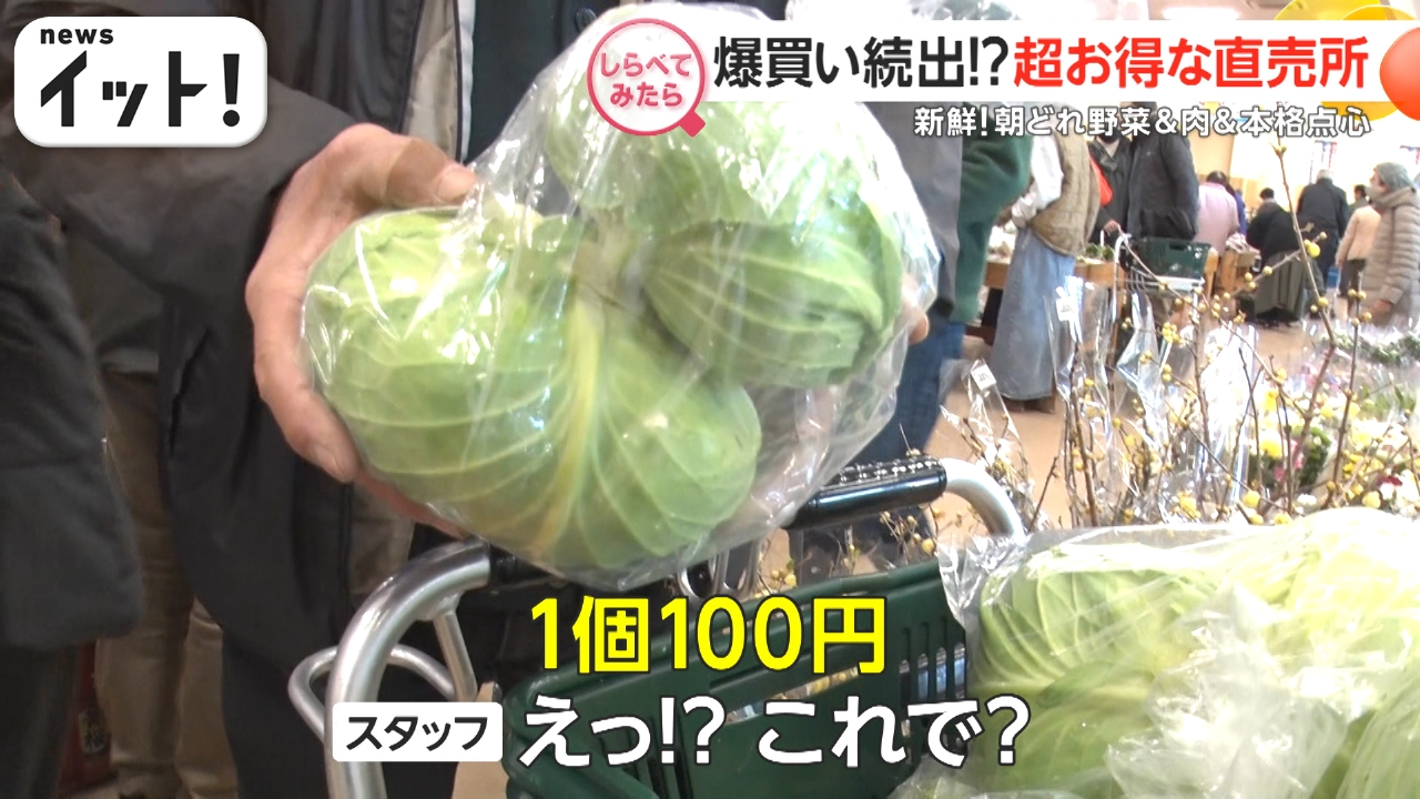 しらべてみたら】Live News イット！特集 2月6日(木)放送分 店舗の半額