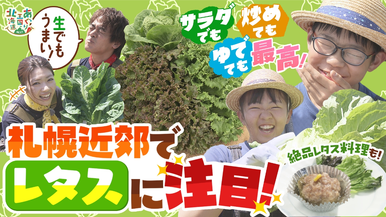 あぐり王国北海道NEXT 7月26日(土)放送分 札幌近郊！葉野菜の定番