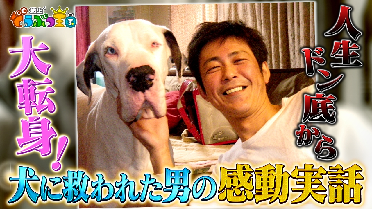 坂上どうぶつ王国 5月23日(金)放送分 どうぶつと暮らして人生大激変SP