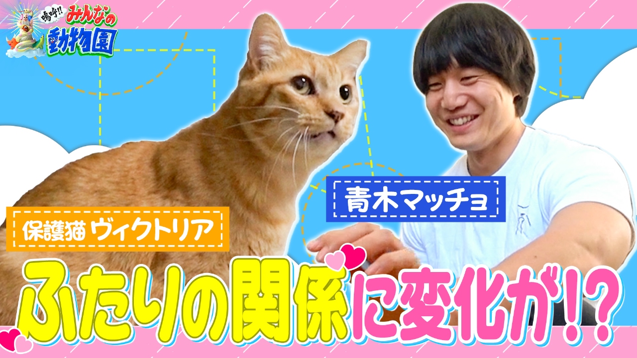 嗚呼!!みんなの動物園 5月10日(土)放送分 青木マッチョと保護猫