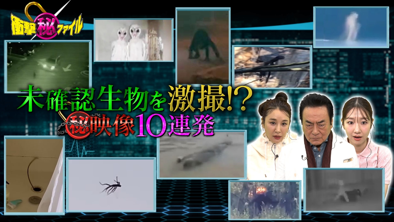 世界が騒然！本当にあった(秘)衝撃ファイル 4月29日(火)放送分 UMA衝撃映像｜バラエティ｜見逃し無料配信はTVer！人気の動画見放題