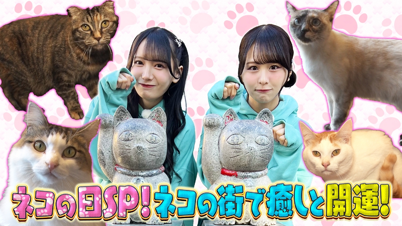 ノイミーステーションTV 2月21日(金)放送分 【かわいいしかない！尾木