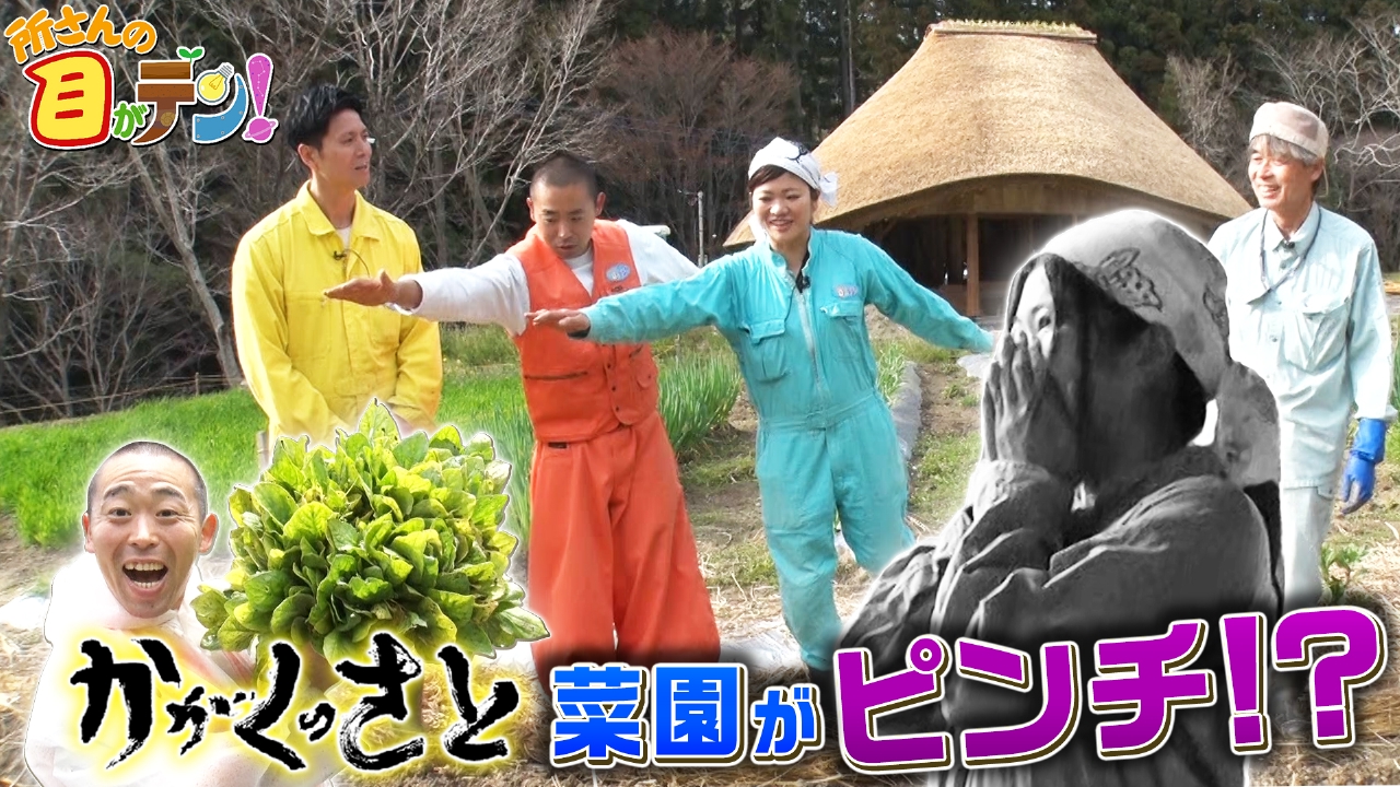 目 が テン