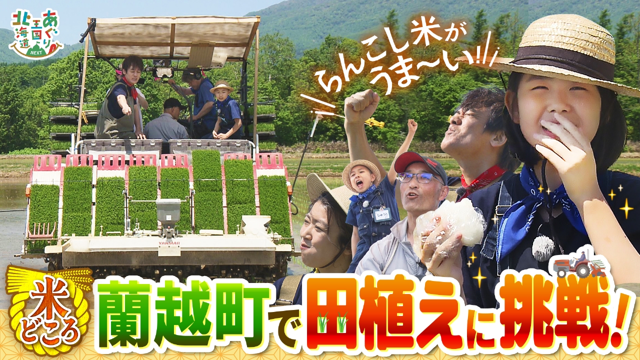 あぐり王国北海道NEXT 6月14日(土)放送分 蘭越町で田植えに挑戦